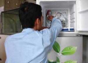 Sửa Chữa Tủ Lạnh Tại Hải Phòng Sửa Tủ Lạnh Tại Hải Phòng